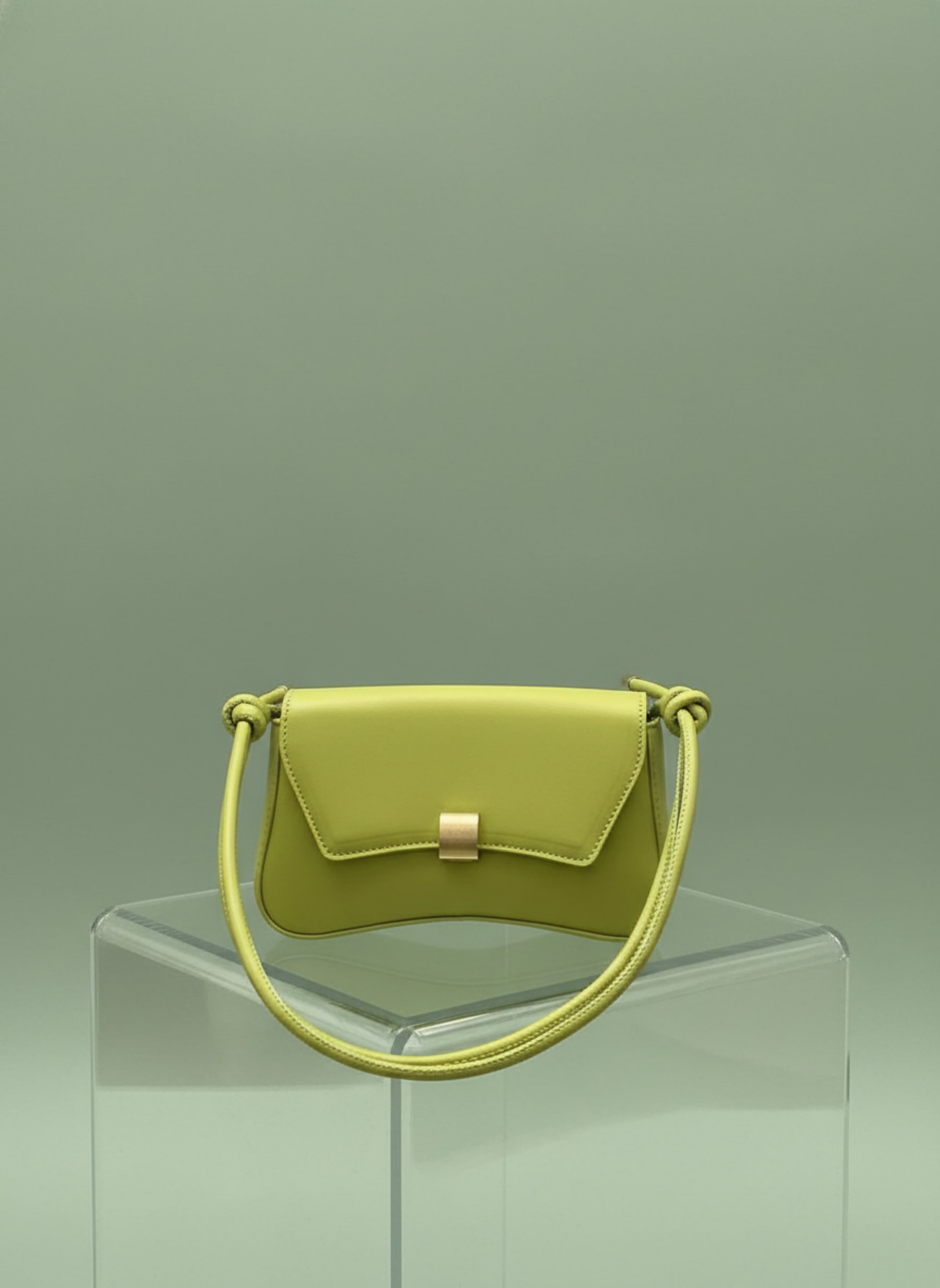 The Curve Bag - image 2